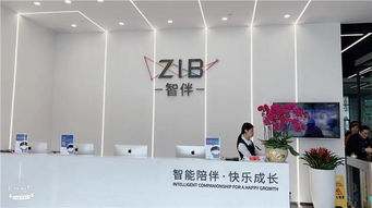 阜阳优质教育联盟大型文化艺术交流活动策划方案